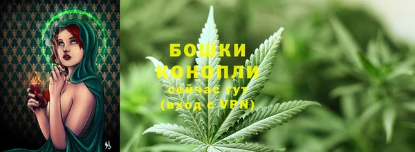 гидропоника Чегем