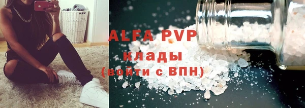 прущие грибы Няндома