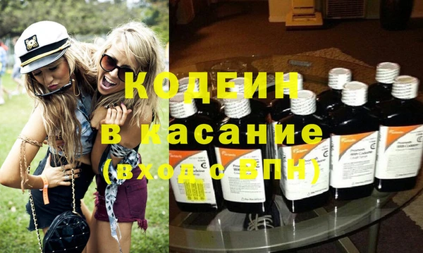 прущие грибы Няндома