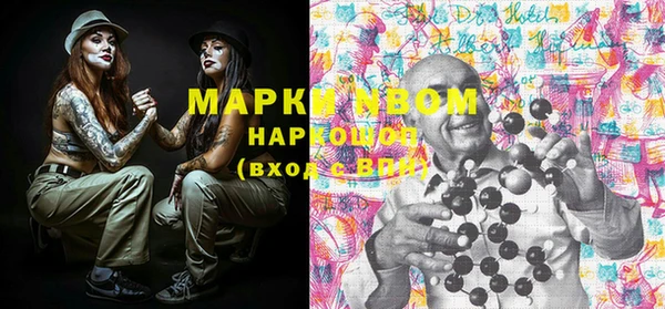 прущие грибы Няндома