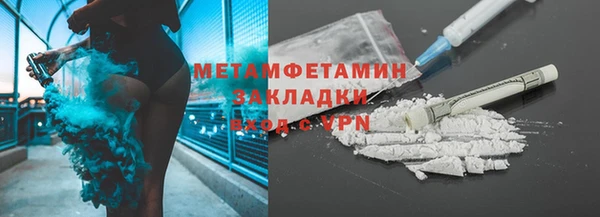 прущие грибы Няндома