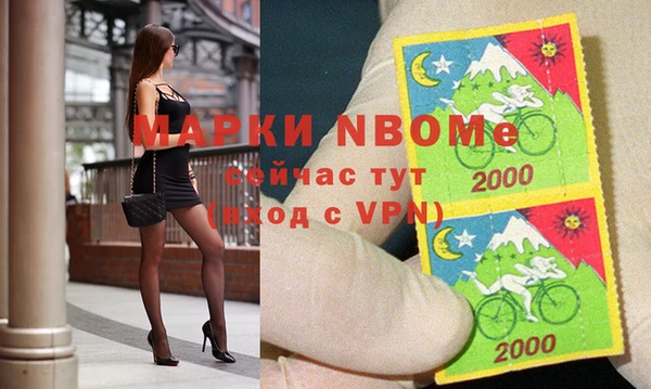 прущие грибы Няндома