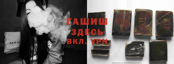 прущие грибы Няндома