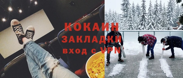 прущие грибы Няндома