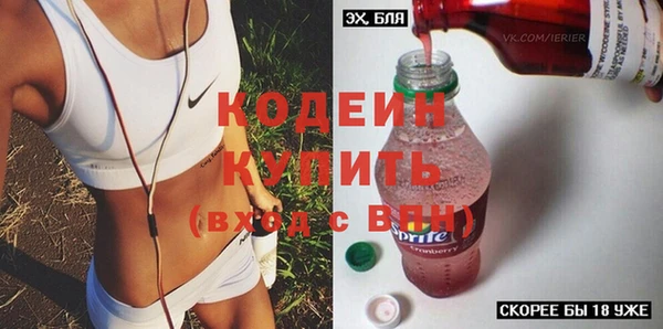 прущие грибы Няндома