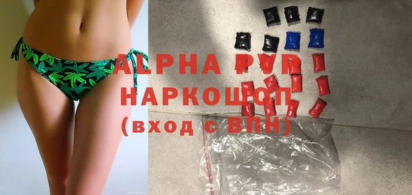 прущие грибы Няндома