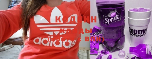 прущие грибы Няндома