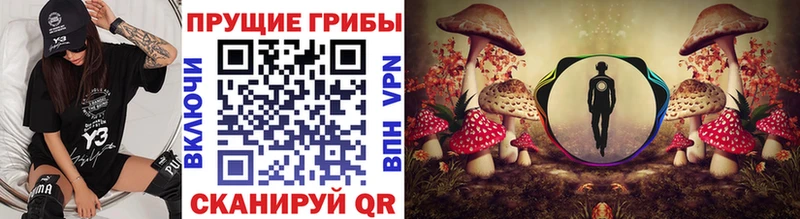 Галлюциногенные грибы Cubensis  площадка официальный сайт  Сальск 